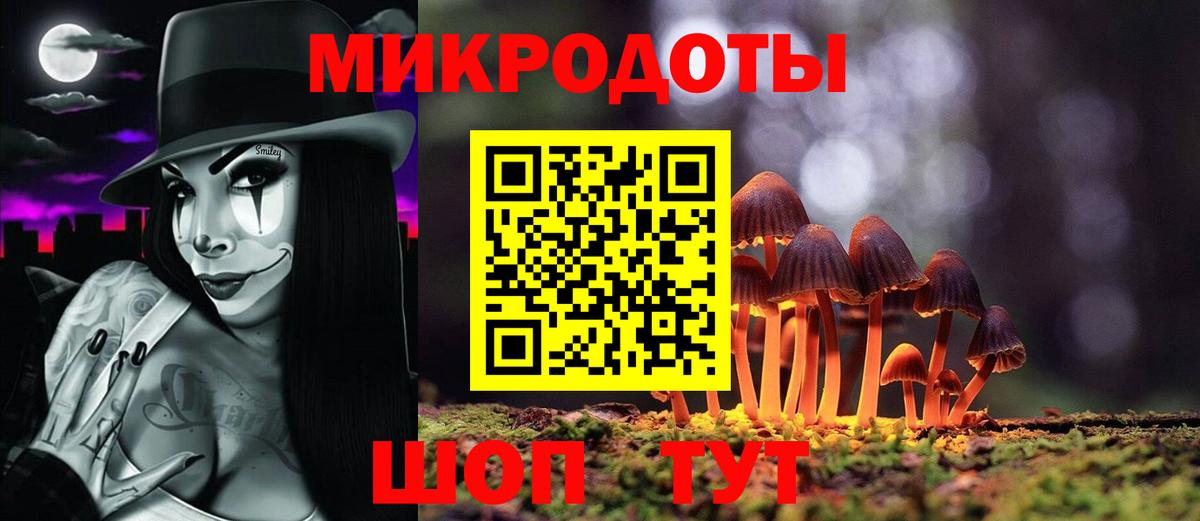 Галлюциногенные грибы Psilocybine cubensis Солнечногорск